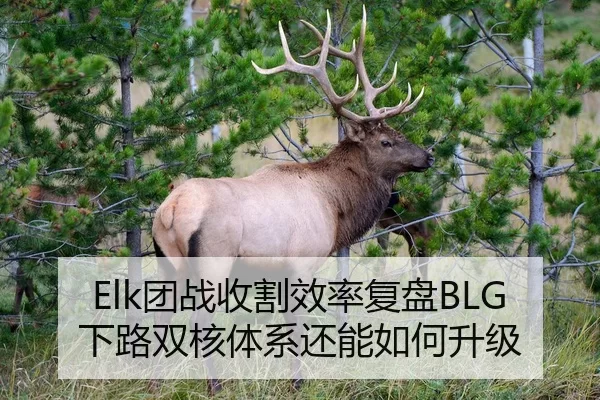Elk团战收割效率复盘BLG下路双核体系还能如何升级