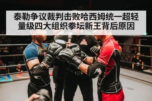 boxing referee decision controversy